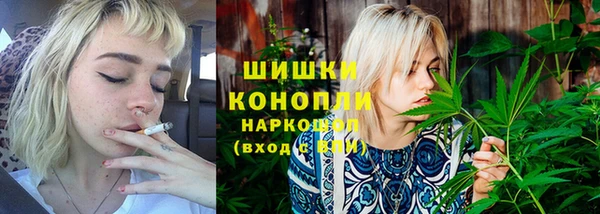 шишки Алексин