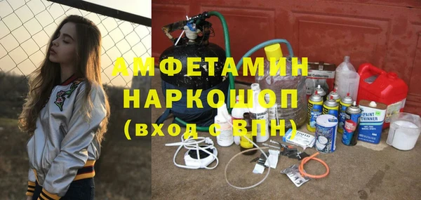 шишки Алексин