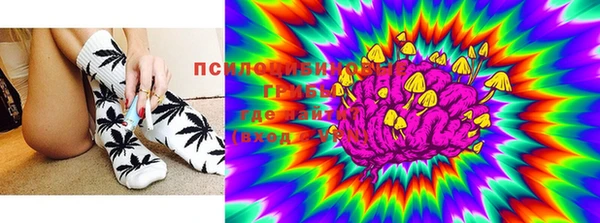 дурь Алзамай