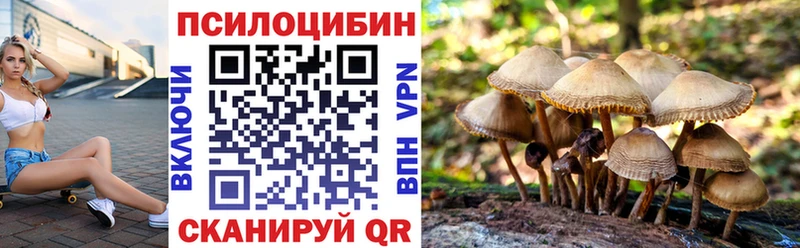 Псилоцибиновые грибы Psilocybine cubensis  нарко площадка формула  Игарка  где продают  